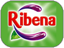 Mister Nice Cream introduces the Ribena Fruit Juices by Ribena